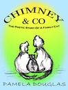Chimney